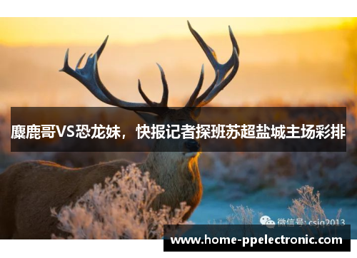 麋鹿哥VS恐龙妹，快报记者探班苏超盐城主场彩排